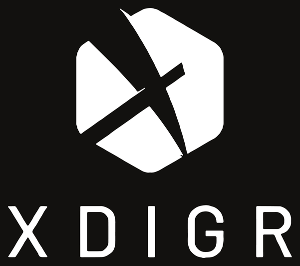 Logo X-DIGR z realizace partnerství CFW 2024