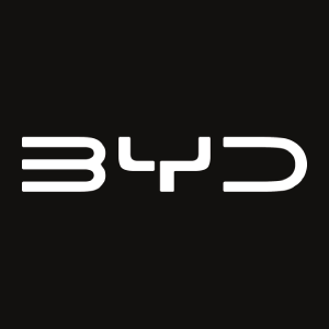 Logo: BYD